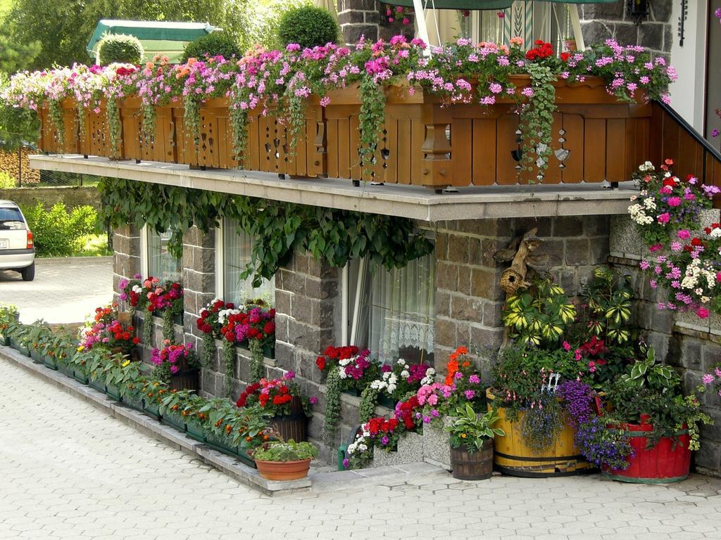 Albergo Trentino Моэна Экстерьер фото